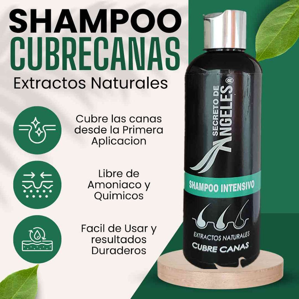 Shampoo Cubrecanas